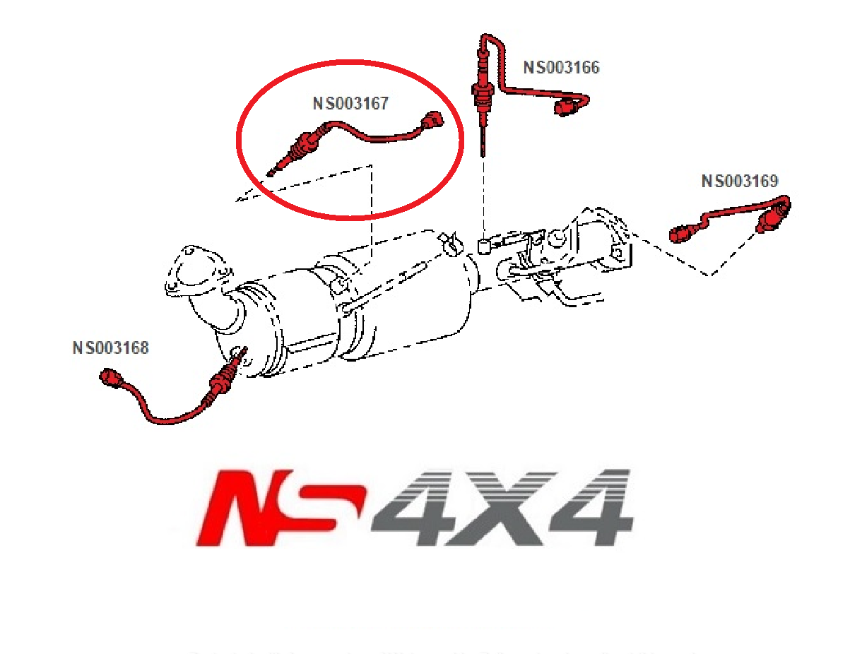 Ns4x4