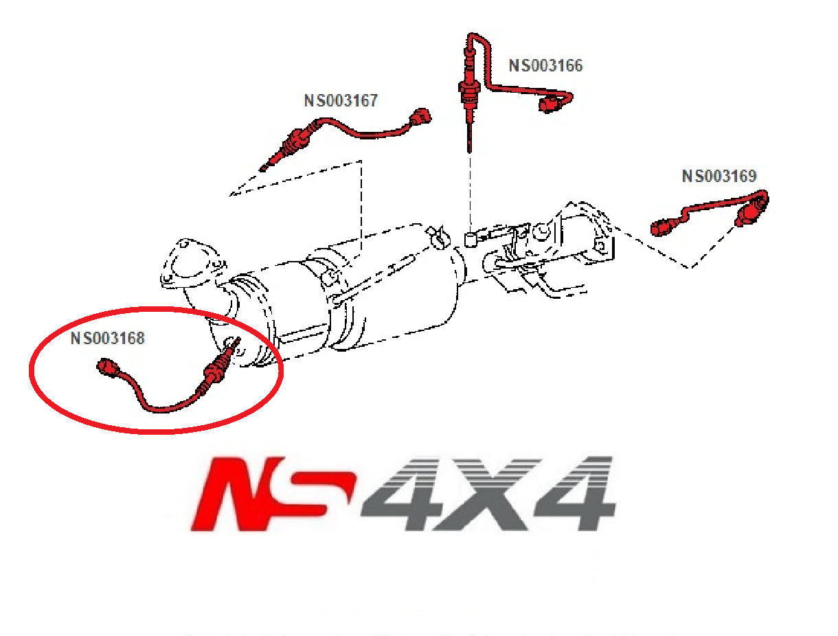Ns4x4