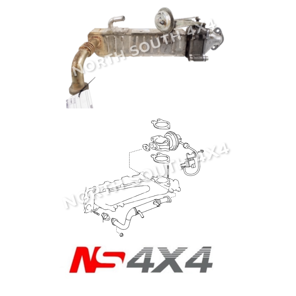 Ns4x4